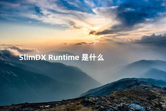SlimDX Runtime 是什么？